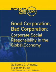 Good Corporation, Bad Corporation: Corporate Social Responsibility in the Global Economy book cover