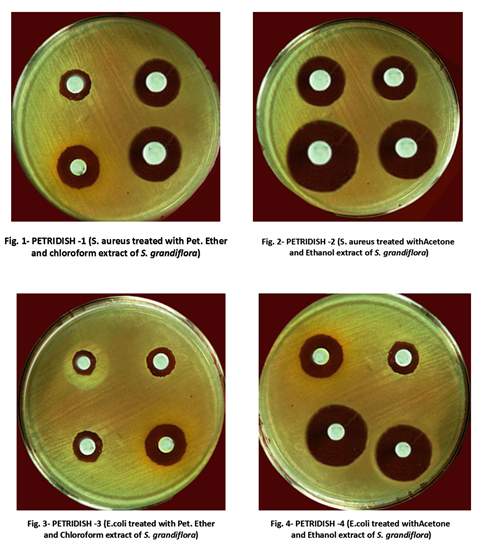 http://upload.wikimedia.org/wikipedia/commons/b/b8/Zone_of_inhibition_by_microorganism_bks.png