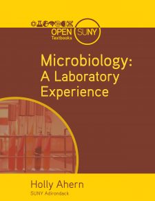 Microbiology: A Laboratory Experience book cover