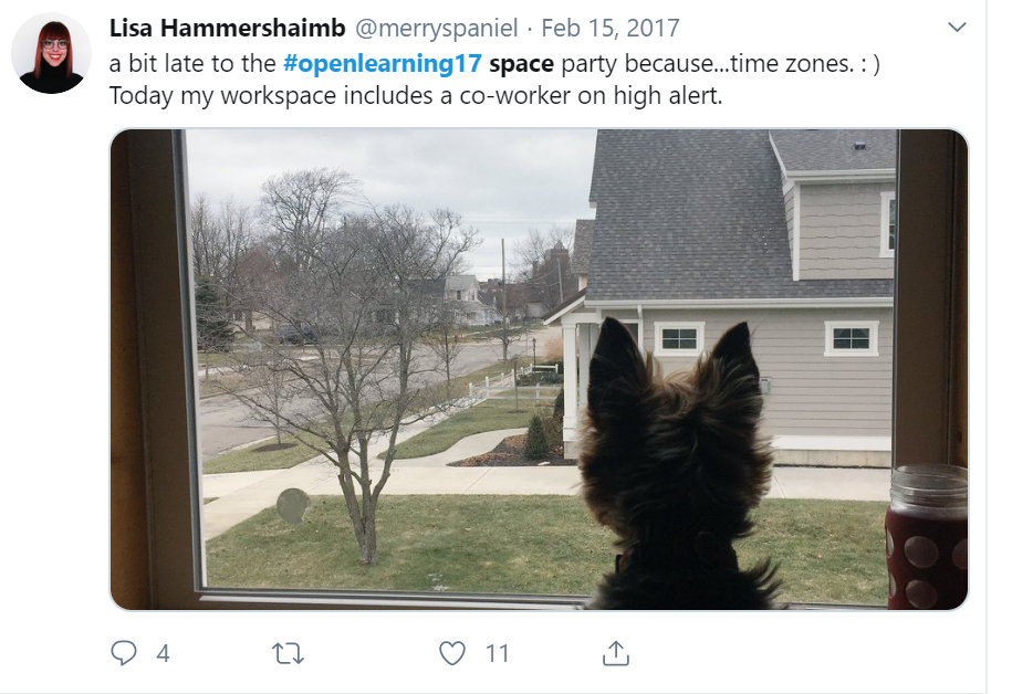 Small dog looking out a home window into the neighbor's front yard. Caption Reads: “a bit late to the #openlearning17 space party because...time zones. :) Today my workspace includes a co-worker on high alert." (Hammershaimb, 2017)
