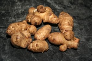 a collection of grown plant tubers on a black background