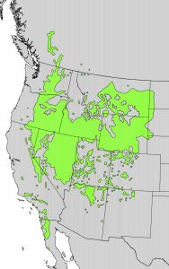The map highlights areas in the U.S. with Artemisia Tridentata in green; the areas expand through the West of the US inlcuding Nevada, Idaho, Wyoming, and other various states