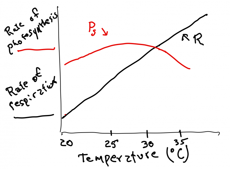 Chapter 26: Interactions Involving Conditions – Inanimate Life