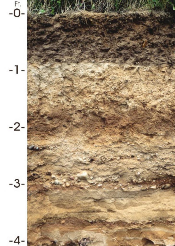 Antigo soil profile showing from 0 to 4 feet deep