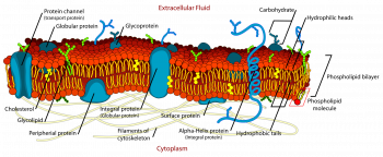 Chapter 26: Interactions Involving Conditions – Inanimate Life