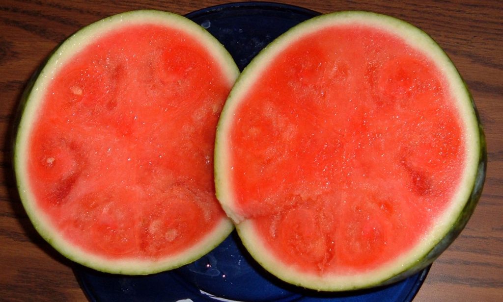 Cross section of a seedless watermelon