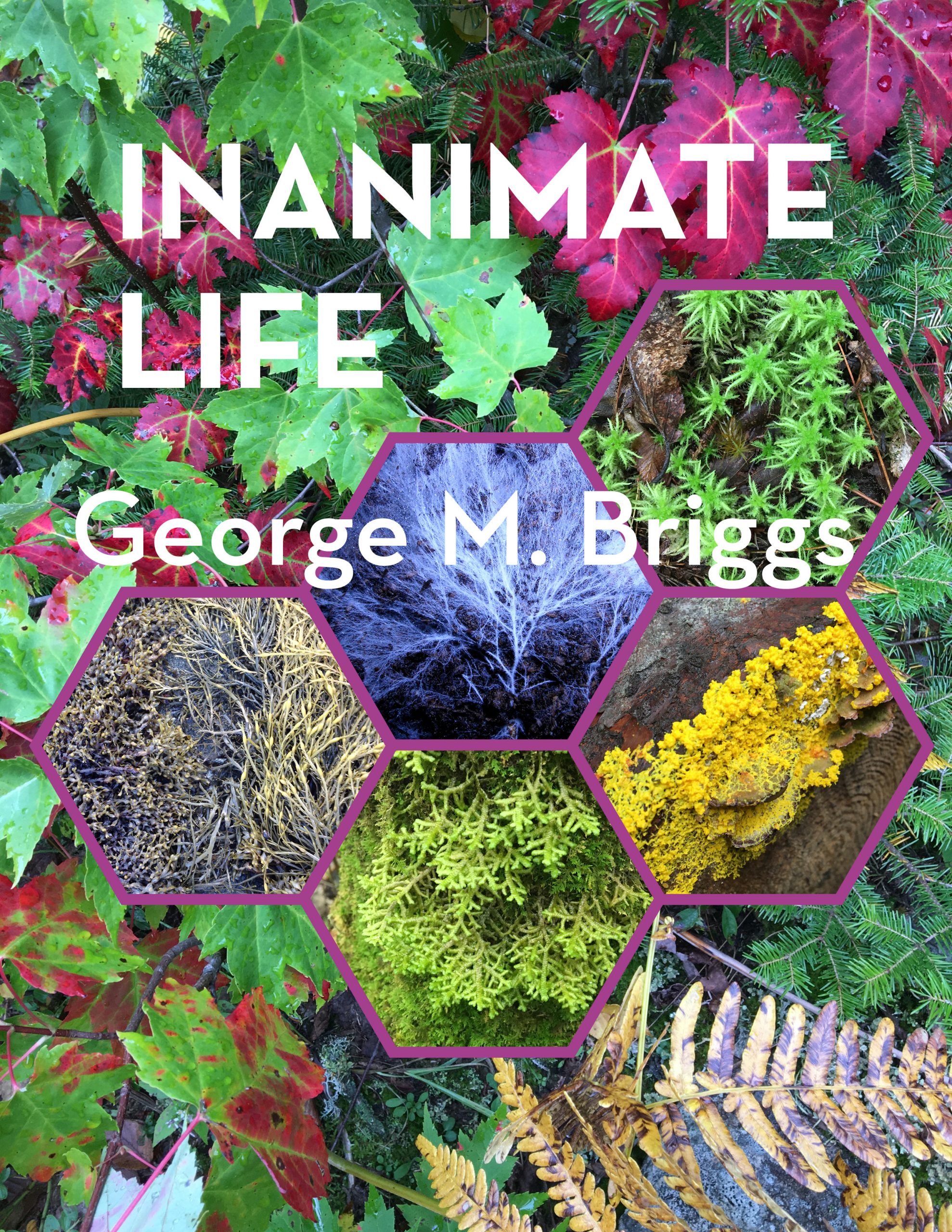 Cover image for Inanimate Life