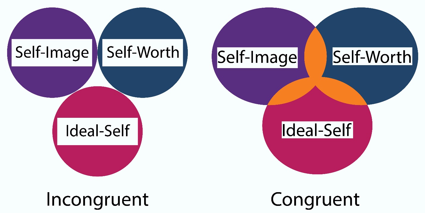 Incongruent diagrammed as three circles that do not touch labeled "self image", "self worth" and "Ideal Self". Congruent is diagrammed next to it with the same labeled circles, but with them each overlapping onto each other.