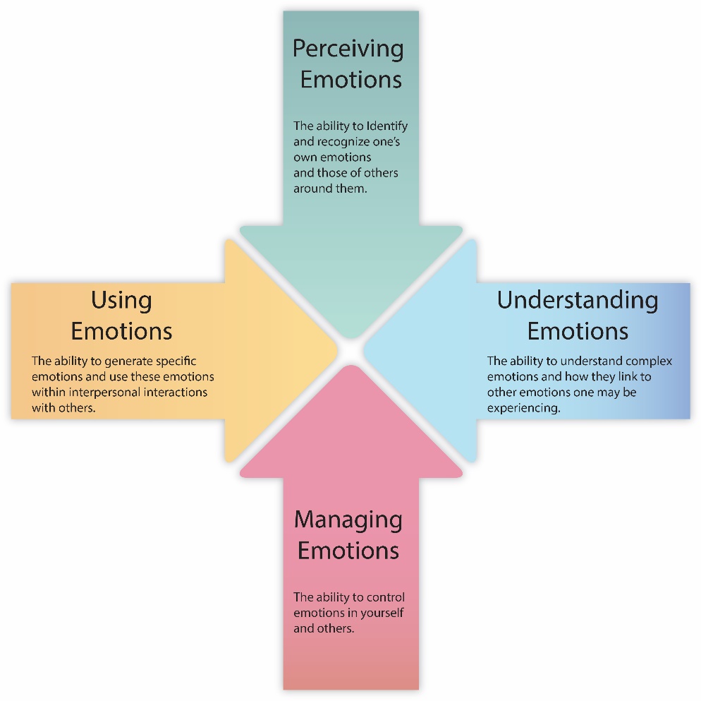 Perceiving emotions: the ability to identify and recognize one's emotions and thos of others around them. Understanding emotions: The ability to understand complex emotions and how they link to other emotions one may be experiencing. Managing emotions: The ability to control emotions in yourself and others. Using emotions: the ability to generate specific emotions and us these emotions within interpersonal interactions with others.