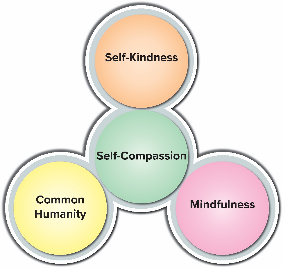 self compassion in the center with self kindness connected at the top, common humanity on the left, and mindfulness on the right.