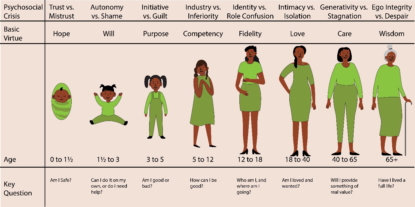 Psychosocial Crisis, Basic Virtue, and key question for each age range: 0 to 1 1/2: Trust vs. Mistrust, hope, Am I safe? 1 1/5 to 3: Autonomy vs. Shame, will, Can i do it on my own or do I need help? 3 to 5: Initiative vs. guilt, purpose, Am I good or bad? 5 to 12: Industry vs. Inferiority, competency, How can I be good? 12 to 18: Identity vs. Role confusion, fidelity, who am I and where am I going? 18 to 40: Intimacy vs Isolation, love, Am I loved and wanted? 40 to 65: Generativity vs stagnation, care, Will I provide something of real value? 65+: Ego Integrity vs Despair, Wisdom, Have I lived a full life?