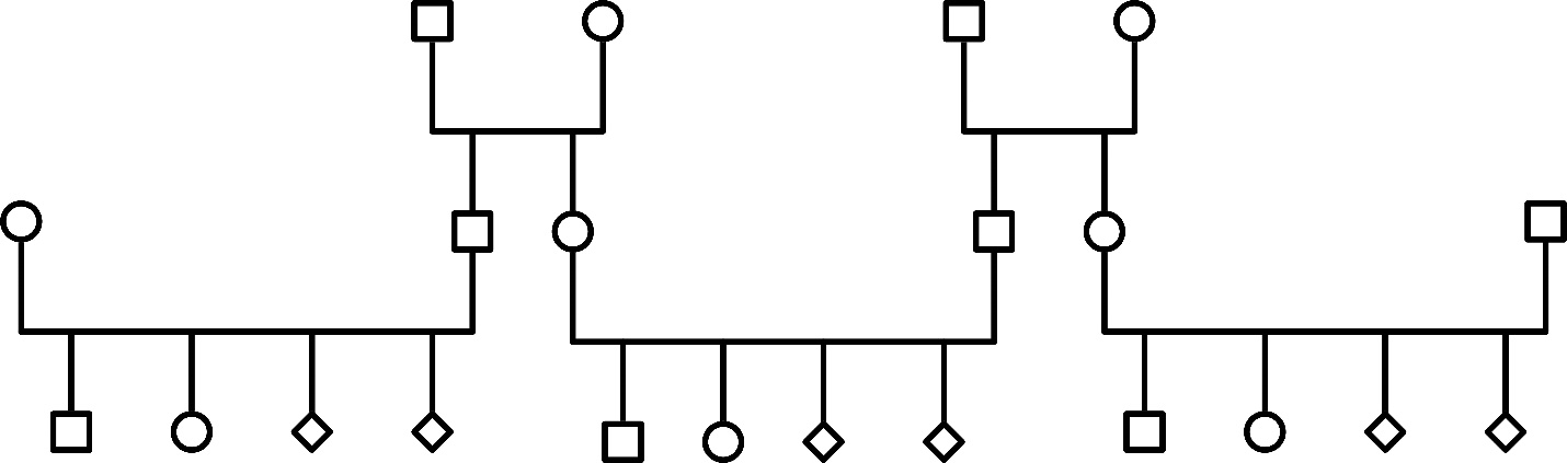 Geneogram symbols showing a three generation family that has four grandparents of opposite sexes, two children each that married the opposite sex and had two children and two pets.