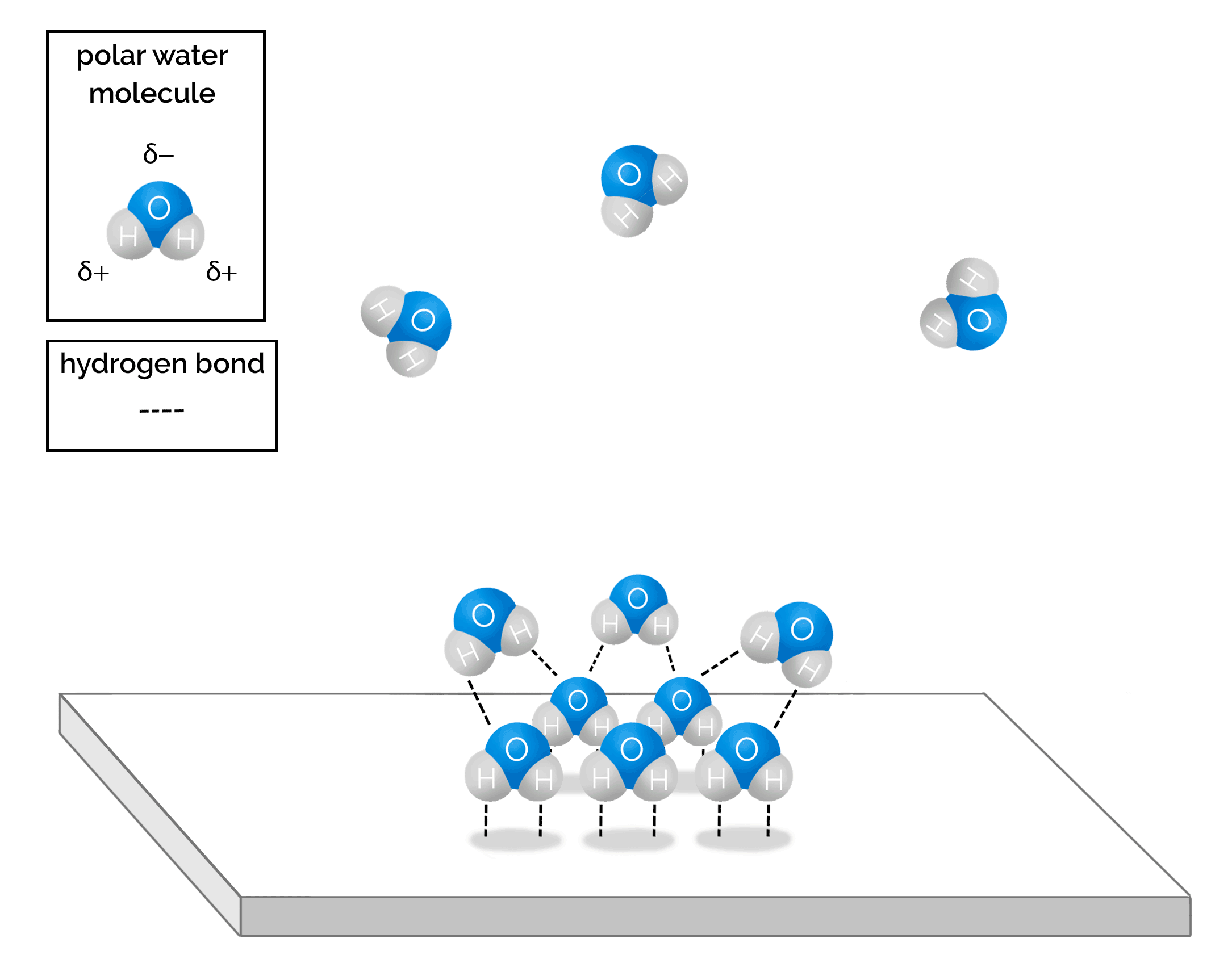 Solved Imagine 1000 unique diatomic molecules are allowed to