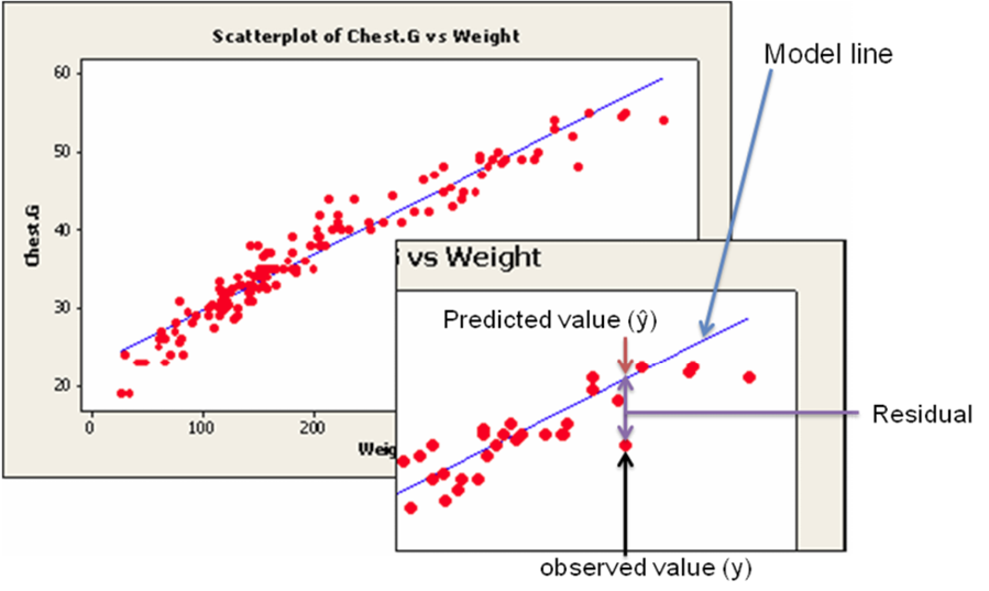 Regression equations for estimating of breast weight (g) using