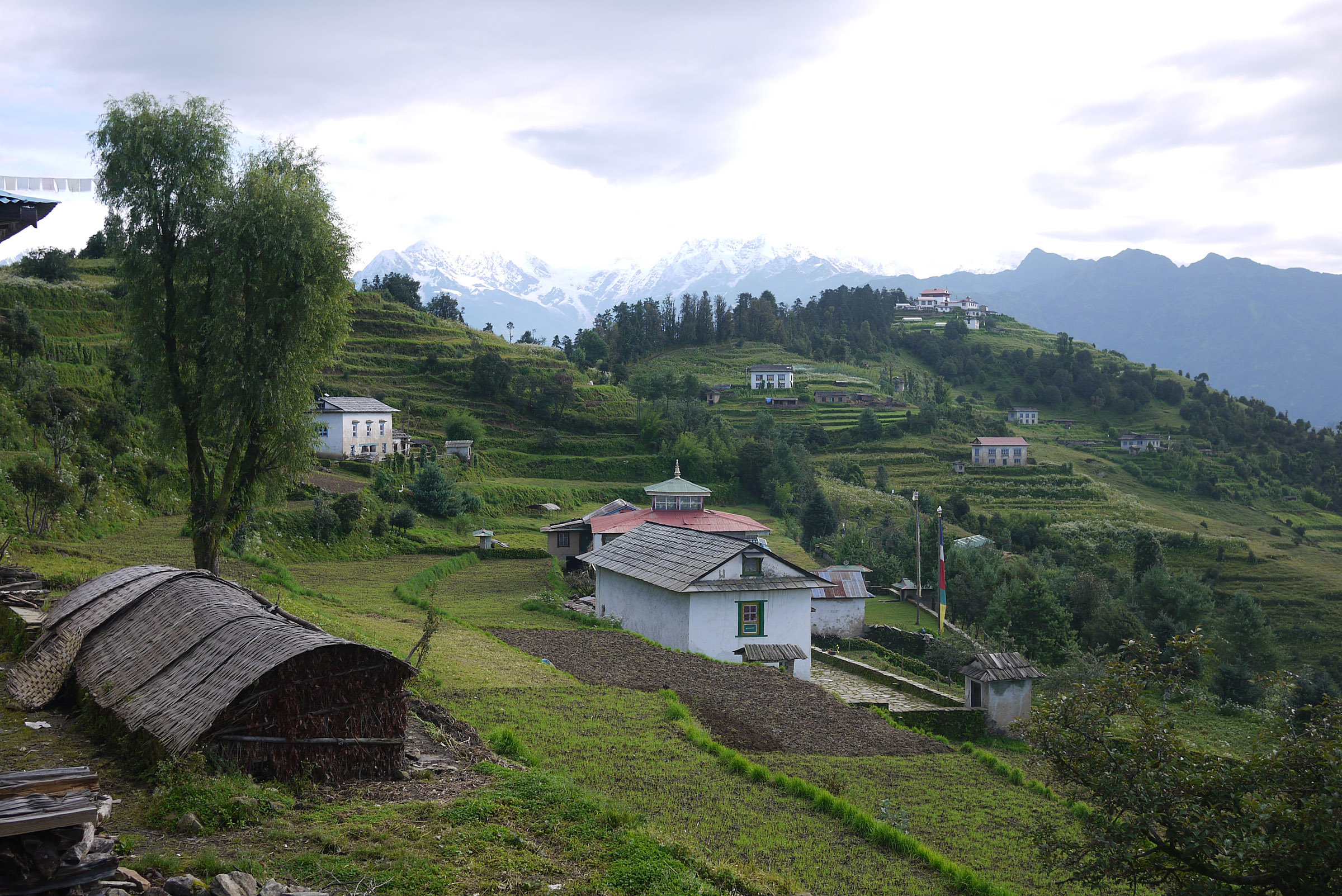 A village consiting of widly spaced houses separated by terraced fields and sparse trees and shrubs; in the distance, there is a mountain range.