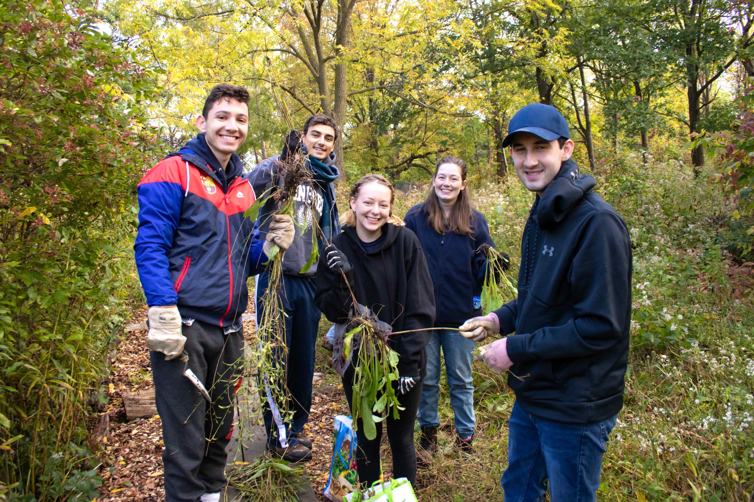 Five college aged students stand in the forest holding invasive plant species they have weeded from the arboretum.
