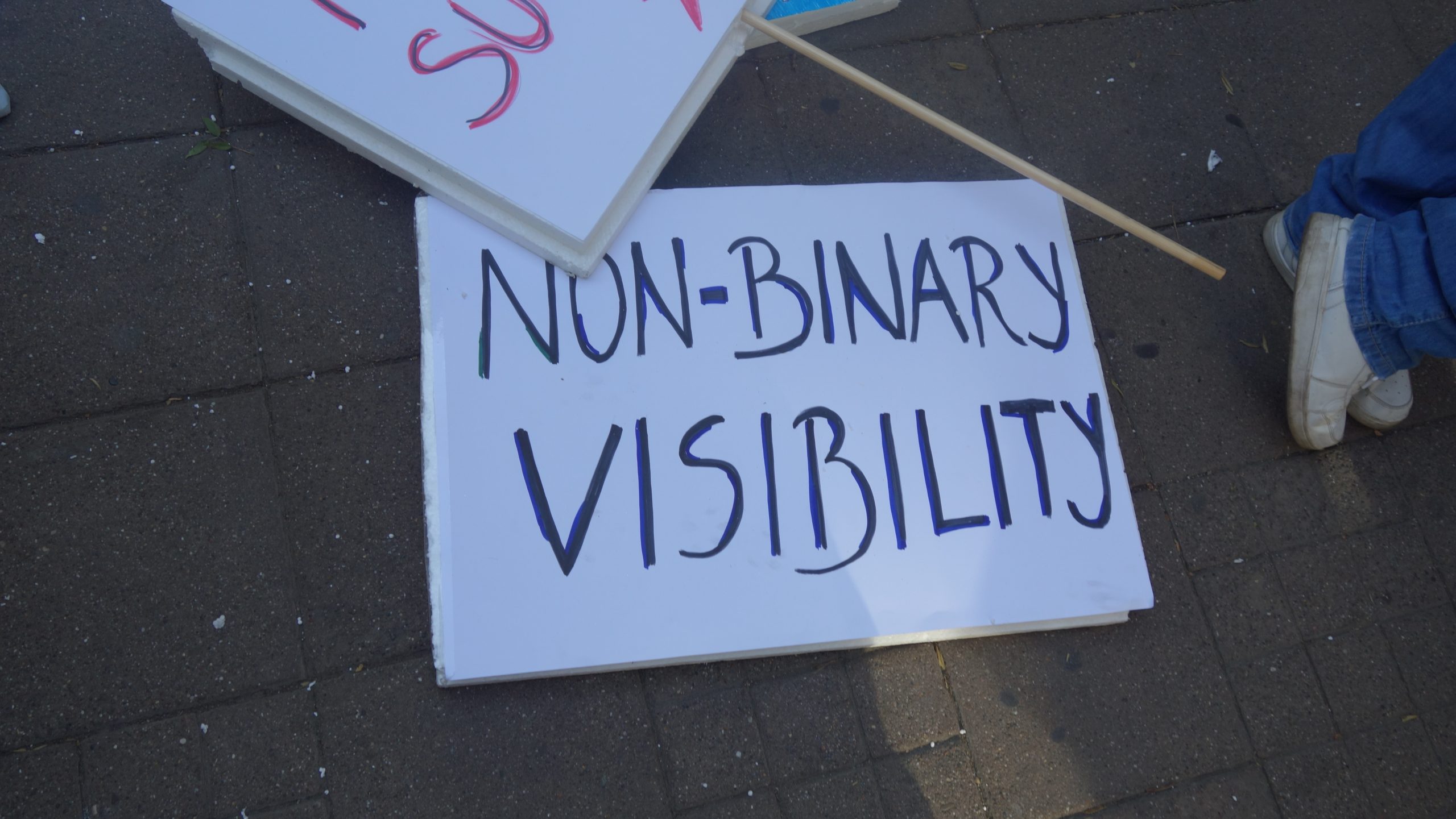A sign that says "NON-BINARY VISIBILITY."