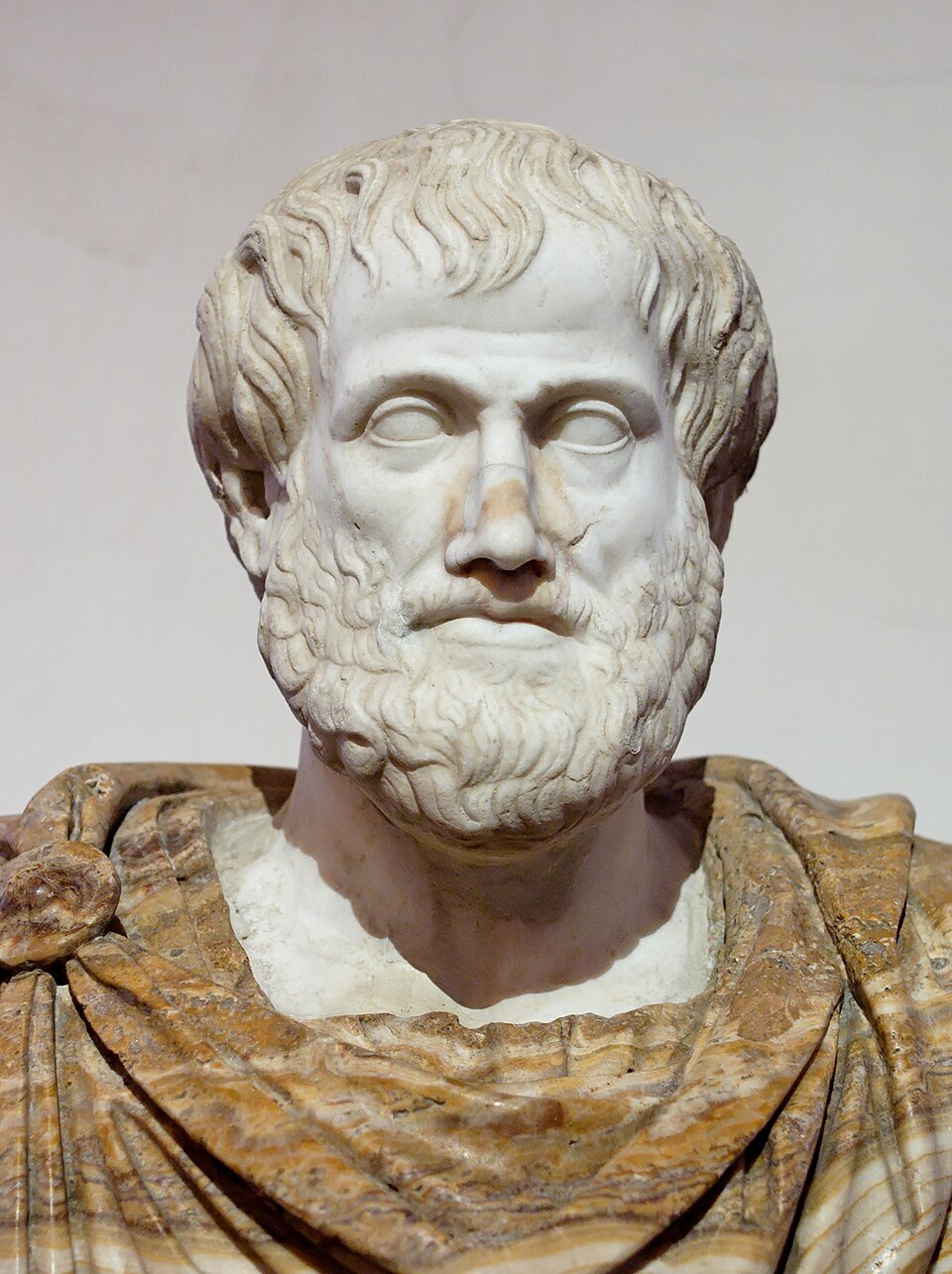 Marble bust of a bearded man with a contemplative expression, draped in a detailed robe.