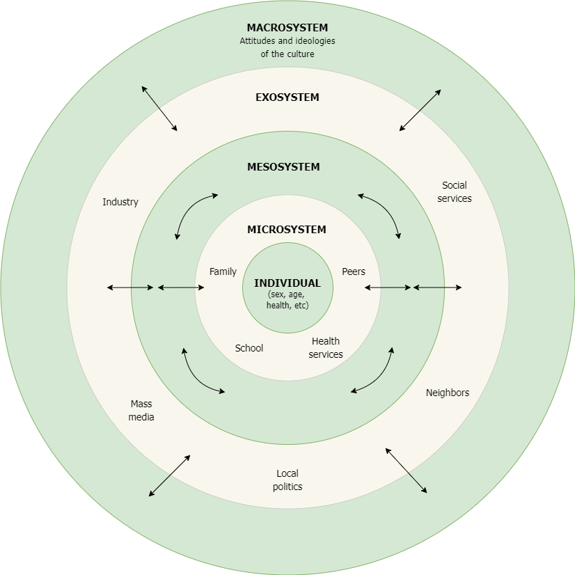 Concentric circles illustrate Bronfenbrenner's ecological systems theory: individual, microsystem, mesosystem, exosystem, and macrosystem, labeled with elements like home and family near the center, and culture, mass media, customs, and laws on the outer edge.