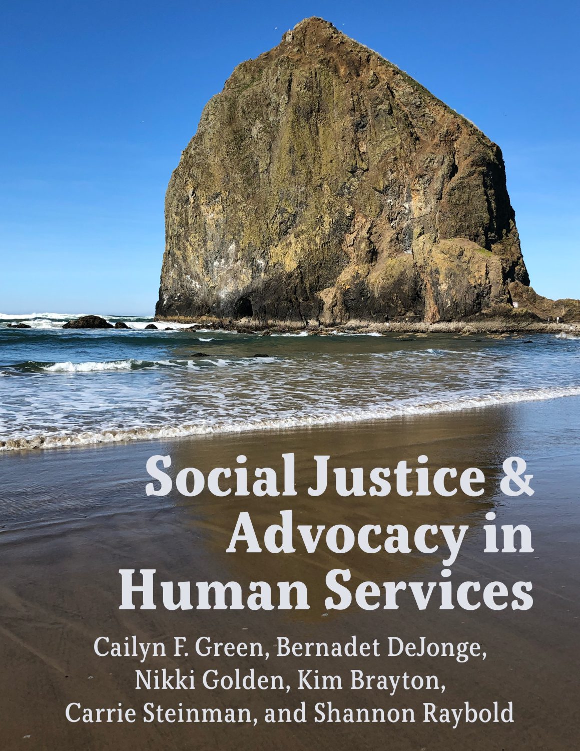 Cover image for Social Justice & Advocacy in Human Services