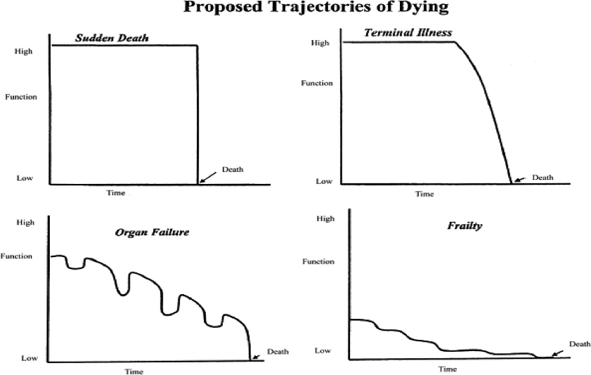 Types and Variability within Illness Trajectories – Nursing Care at the End  of Life