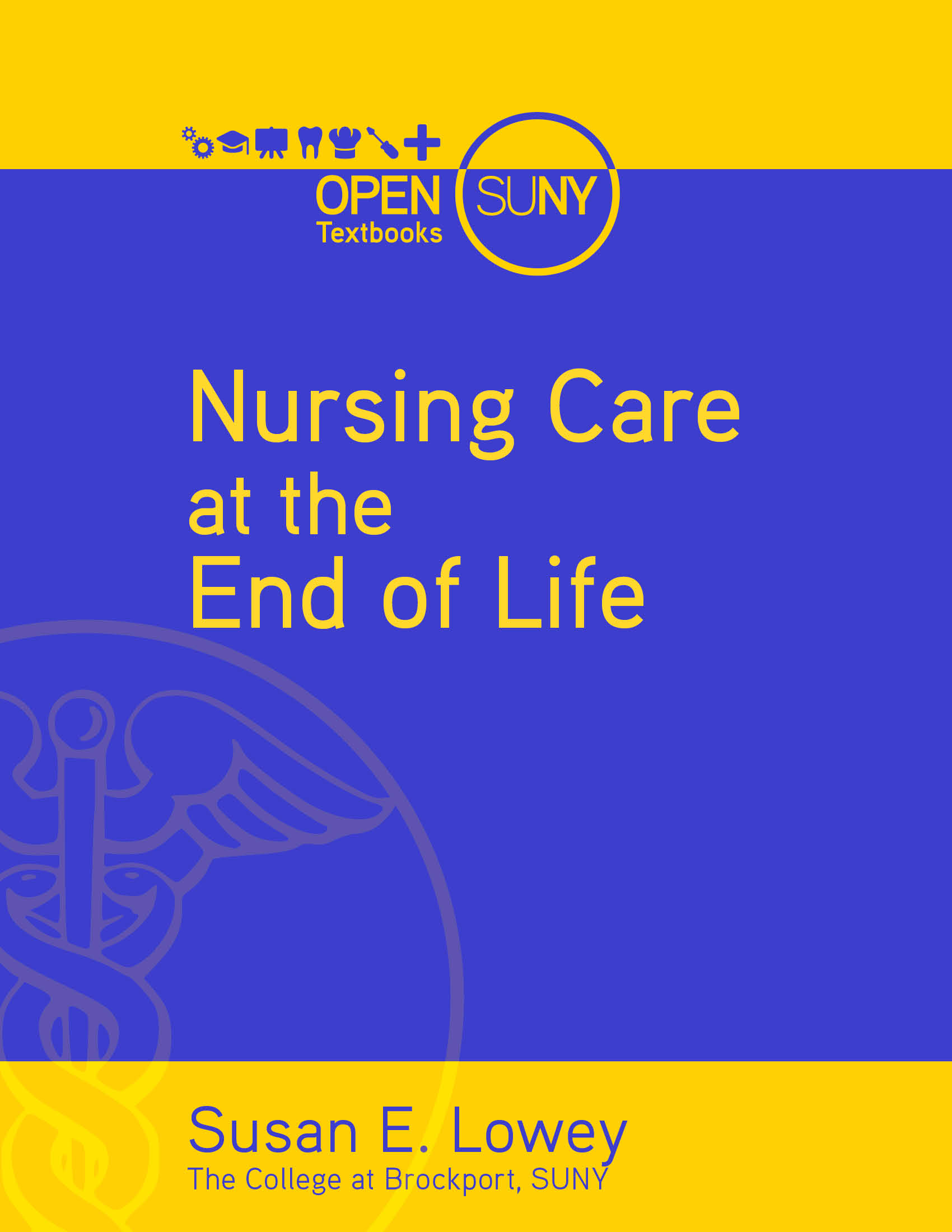 Nursing Care at the End of Life book cover