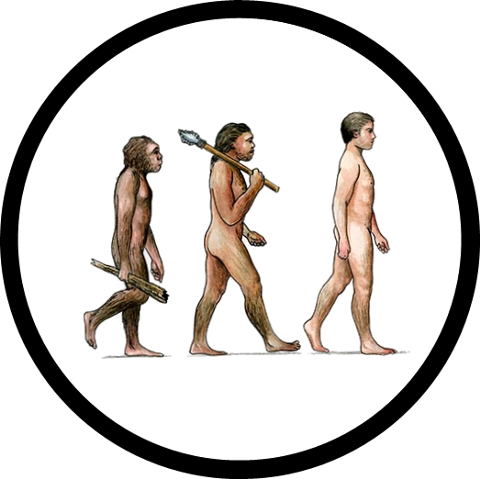 evolution of man chart