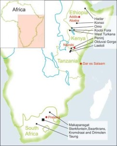 australopithecus sediba map