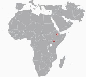 australopithecus afarensis map